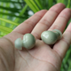 Image for article titled Samsung's Galaxy Buds 2 Set a New Standard for Affordable Earbuds